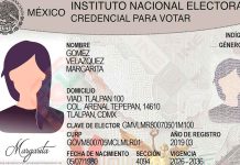 INE renueva la credencial electoral con el objetivo de ofrecer una identificación más segura e inclusiva