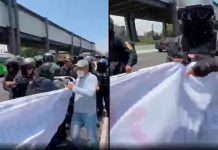 #VIDEO // Policías de CDMX agreden a madres buscadoras durante protesta en Calzada de Tlalpan