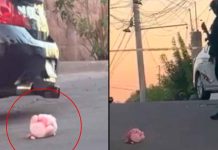 Quinto caso del “cerdito rosa”: comando armado asesina a un hombre en su casa en Culiacán