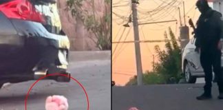 Quinto caso del “cerdito rosa”: comando armado asesina a un hombre en su casa en Culiacán