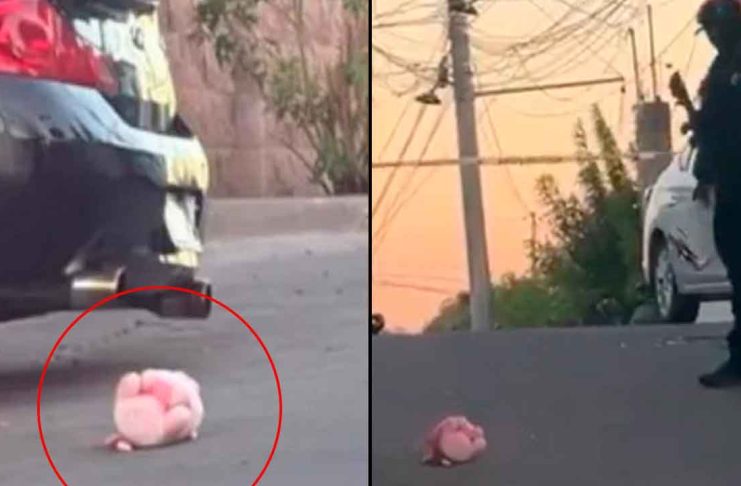 Quinto caso del “cerdito rosa”: comando armado asesina a un hombre en su casa en Culiacán