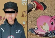 De Sinaloa a Baja California: suman 6 los homicidios firmados con un cerdo rosa en México