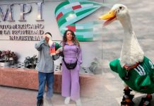 Dueña del pato Merlín protege su imagen ante el IMPI para evitar abusos comerciales