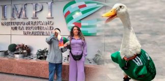 Dueña del pato Merlín protege su imagen ante el IMPI para evitar abusos comerciales