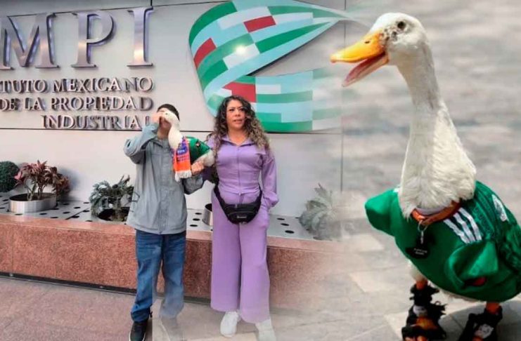 Dueña del pato Merlín protege su imagen ante el IMPI para evitar abusos comerciales