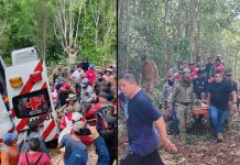 Rescatan con vida a abuelito de 80 años tras pasar tres días perdido en la selva de Quintana Roo