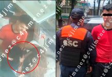 #VIDEO // Llevó a su perrito a bañar a un spa y se lo entregaron sin vida; hay un empleado detenido