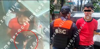 #VIDEO // Llevó a su perrito a bañar a un spa y se lo entregaron sin vida; hay un empleado detenido