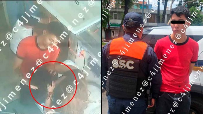 spa-perros-entregan-muerto-pomerania-detenido