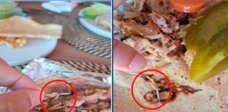¡Encuentran una aguja dentro de un taco en Morelia! Cliente denuncia falta de respuesta de conocido restaurante