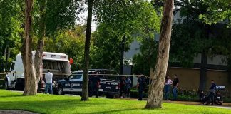Trabajadores de limpieza hallan a un presunto feto humano entre la basura en Zapopan