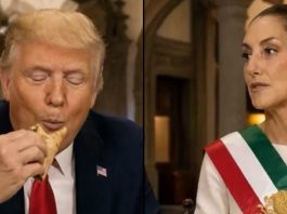#VIDEO // “Todos lo aman”: Trump comparte video con IA donde aparece junto a Sheinbaum
