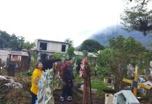 30 personas lesionadas en Veracruz durante un sepelio por ataque de abejas