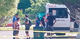 Abejas atacan a peatones en la zona Centro de Lázaro Cárdenas