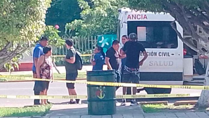 Abejas-atacan-a-peatones-en-la-zona-Centro-de-Lazaro