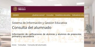¿Cómo descargar la boleta de calificaciones SEP 2026? Te explicamos paso a paso
