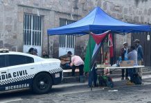 Denuncian colectivos venta de predios públicos tras aseguramiento de Lo Común
