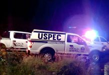 Localizan c4dáver con huellas de viol3ncia en carretera de Villa Madero
