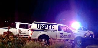 Localizan c4dáver con huellas de viol3ncia en carretera de Villa Madero