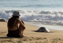Las playas de Michoacán te esperan para una escapada inolvidable este verano