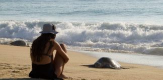 Las playas de Michoacán te esperan para una escapada inolvidable este verano