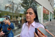 Morena revisa organización territorial en Michoacán