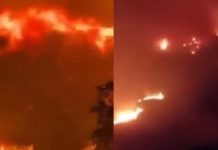 #VIDEO // Las llamas no dan tregua: incendios obligan a evacuar comunidades en tres países europeos