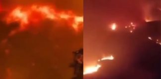 #VIDEO // Las llamas no dan tregua: incendios obligan a evacuar comunidades en tres países europeos