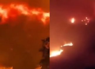 #VIDEO // Las llamas no dan tregua: incendios obligan a evacuar comunidades en tres países europeos