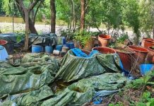 Desmantelan narcolaboratorio en Carácuaro; aseguran metanfetamina y precursores químicos