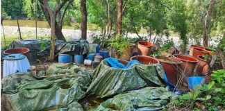 Desmantelan narcolaboratorio en Carácuaro; aseguran metanfetamina y precursores químicos
