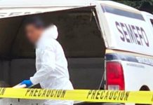 Hallan a hombre sin vida colgado de un árbol en la colonia Simpanio Norte