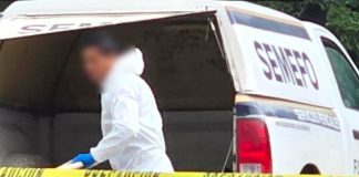 Hallan a hombre sin vida colgado de un árbol en la colonia Simpanio Norte