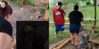 #VIDEO // Una tormenta cambió todo: buscaban refugio y una descarga eléctrica terminó en tragedia