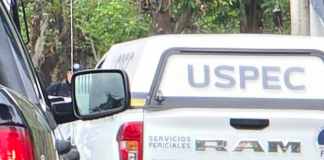 Hallan a mujer ejecutada de un balazo en la cabeza, en la región de Zinapécuaro
