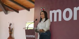 Empresarios temen que Morena no tenga continuidad en Michoacán: Gladyz Butanda