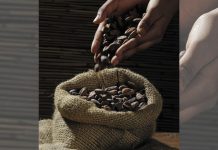 Del árbol a la taza: los beneficios del cacao para la salud y el bienestar