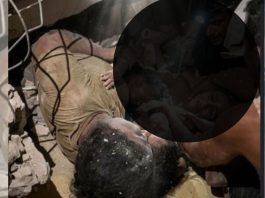 Amor que desafió la tragedia: una madre habría mantenido con vida a sus hijos bajo los escombros
