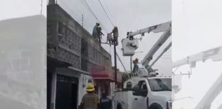 #VIDEO //Intentó escapar por un poste y terminó atrapado durante horas