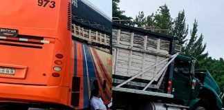 Choque entre autobús y camión de carga deja un lesionado en la Autopista Siglo XXI