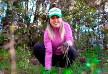 Dayana Pérez encabeza jornada de reforestación con la siembra de 6 mil árboles en Zirahuén