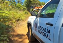 Localizan un as3sinado a bal4zos en el Cerro de la Cruz, al norte de Uruapan