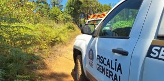 Localizan un as3sinado a bal4zos en el Cerro de la Cruz, al norte de Uruapan