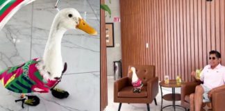 El Pato Merlín y Jorge Campos protagonizan la nueva campaña de Boing