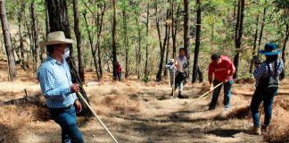 ¿Qué hace un guarda forestal? El trabajo de quienes protegen los bosques de Michoacán