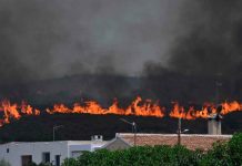 Francia y España advierten que están viviendo una situación dramática
