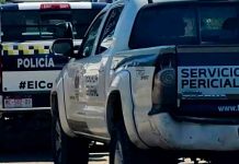 Hombre queda herido tras ser agredido a balazos en San Miguel del Monte