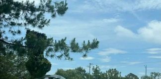 Auto se sube a jardinera, a pocos metros de glorieta Juan Pablo II, al sur de Morelia