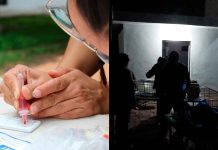 IMPA realiza jornada de esterilización y cuidado animal en instalaciones de COFOM