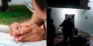 IMPA realiza jornada de esterilización y cuidado animal en instalaciones de COFOM